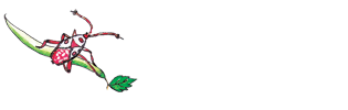 Bug & Bean Photography